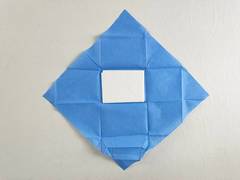 Asciugamano assorbente LL220808